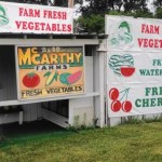 McCarthy Farms stand opens